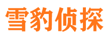 宁武市私家侦探